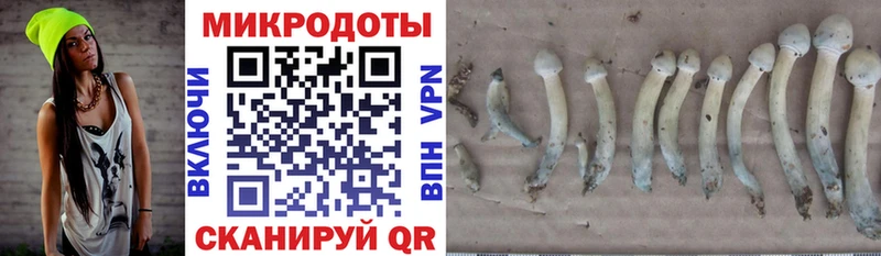 гидра   Ухта  darknet состав  Галлюциногенные грибы мицелий 
